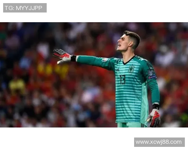 Panini足球球星卡收藏热潮与全球球迷文化发展的深度解析