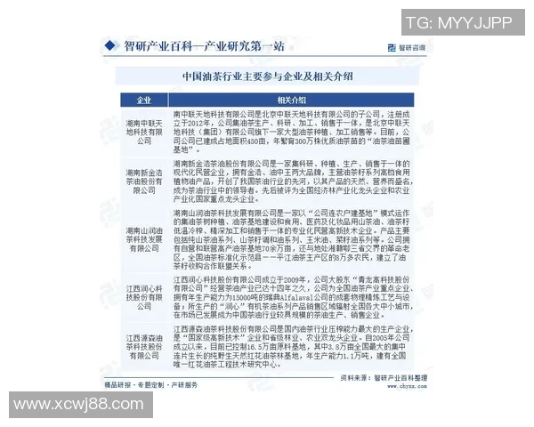 深入解读yoki球星卡足球收藏市场发展与未来价值分析